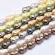 Chapelets de perles de coquille BSHE-E020-06-1
