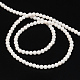 Dyed Natural White Coral Round Bead Strands CORA-Q025-3mm-05-2
