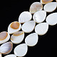 Eau douce naturelle de coquillage perles brins SHEL-S278-068-1