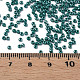 11/0 rocailles en verre opaque tchèque SEED-N004-003B-31-6