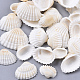 AHANDMAKER 300g White Natural Conch Shell Beads Undrilled/No Hole Tiny Scallop Sea Shells Ocean Beach Seashells Craft Charms for Candle Making Home Decoration Party Wedding Decor SSHEL-PH0001-07-2