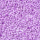 Glass Seed Beads SEED-S060-A-968-3