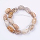 Natural Fossil Coral Beads Strands G-F554-09-2