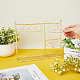 SUPERFINDINGS Goldenrod Doll Garment Rack with Hangers 1pc Iron Doll Clothes Storage Display Rack and 8pcs Mini Coat Hangers Miniature Doll Wardrobe Furniture Accessories for Pets Dollhouse Supplies ODIS-FH0001-14B-3