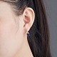 Brass Micro Pave Cubic Zirconia Hoop Earrings EJEW-BB48717-3