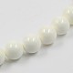 Natural White Shell Beads Strands X-BSHE-E002-02-8mm-2