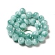 Natural Glass Beads Strands G-I247-31E-4
